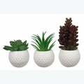 Youngs Resin Garden Mini Golf Ball Planter, Assorted Color - 3 Assorted 73979